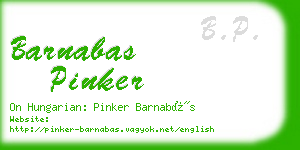 barnabas pinker business card